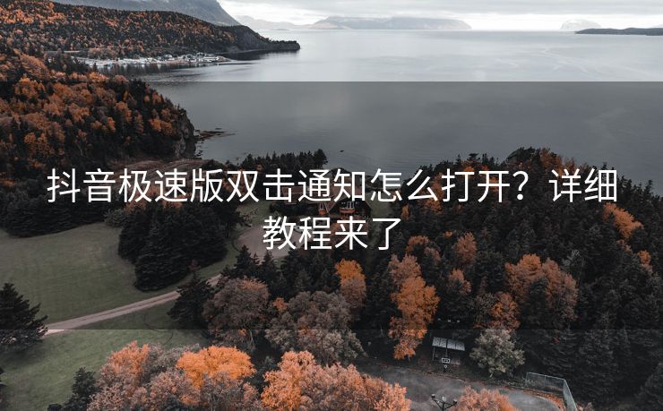 抖音极速版双击通知怎么打开？详细教程来了