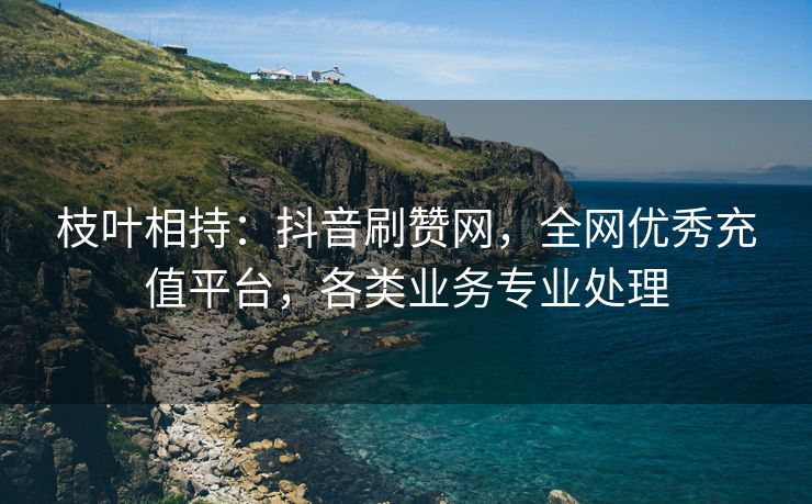 枝叶相持：抖音刷赞网，全网优秀充值平台，各类业务专业处理