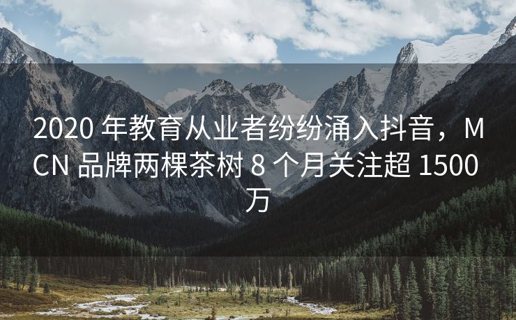 2020 年教育从业者纷纷涌入抖音，MCN 品牌两棵茶树 8 个月关注超 1500 万