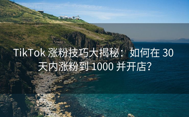 TikTok 涨粉技巧大揭秘：如何在 30 天内涨粉到 1000 并开店？