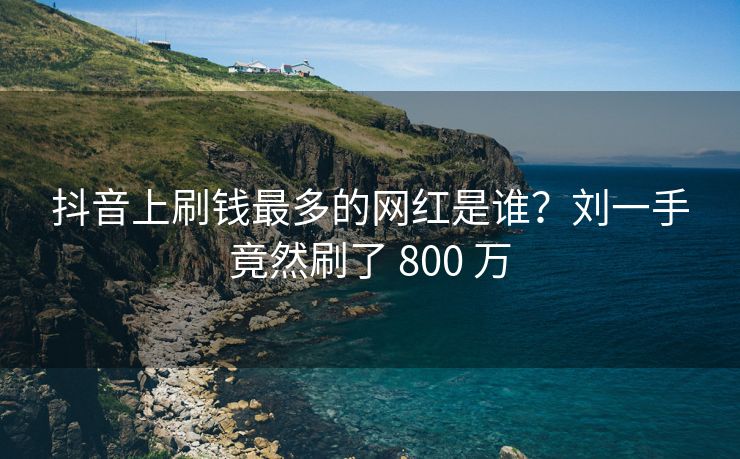 抖音上刷钱最多的网红是谁？刘一手竟然刷了 800 万