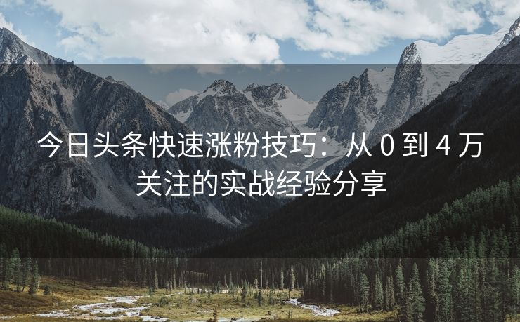 今日头条快速涨粉技巧：从 0 到 4 万关注的实战经验分享