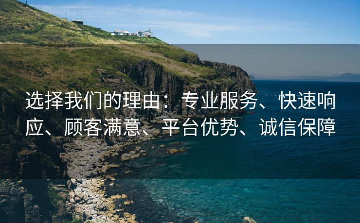 选择我们的理由：专业服务、快速响应、顾客满意、平台优势、诚信保障