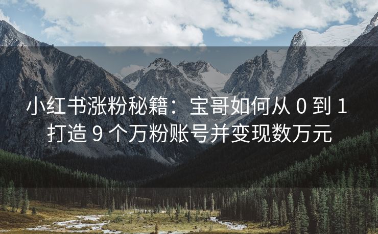 小红书涨粉秘籍：宝哥如何从 0 到 1 打造 9 个万粉账号并变现数万元