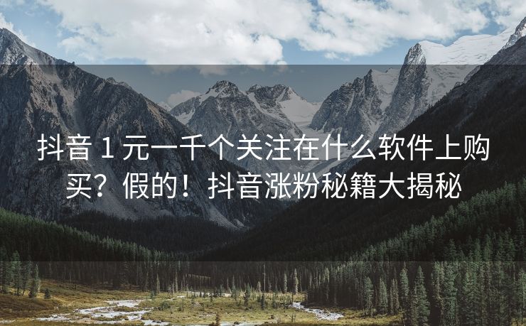 抖音 1 元一千个关注在什么软件上购买？假的买假！抖音涨粉秘籍大揭秘