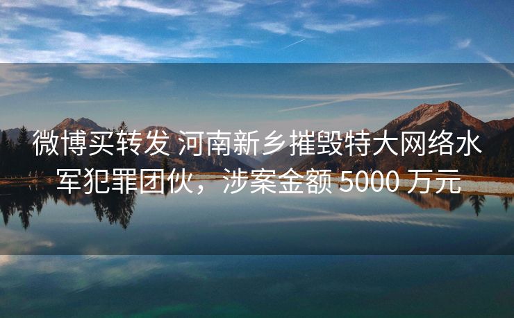 微博买转发 河南新乡摧毁特大网络水军犯罪团伙，涉案金额 5000 万元