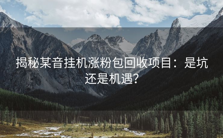 揭秘某音挂机涨粉包回收项目：是坑还是机遇？