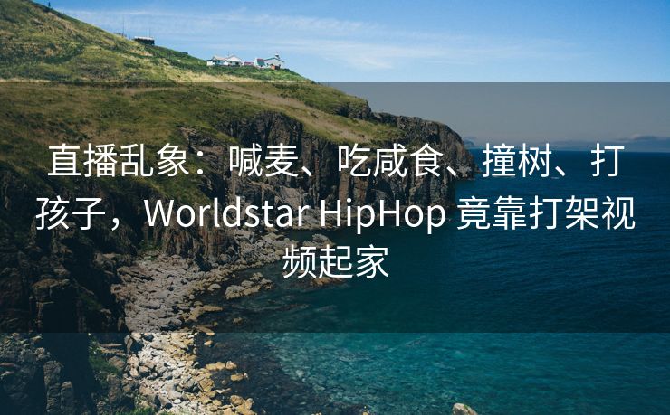 直播乱象：喊麦、吃咸食、撞树、打孩子，Worldstar HipHop 竟靠打架视频起家