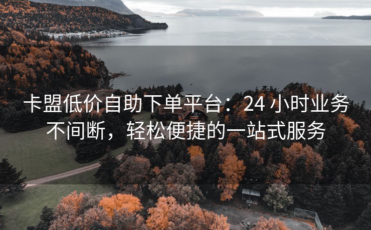 卡盟低价自助下单平台：24 小时业务不间断，轻松便捷的一站式服务