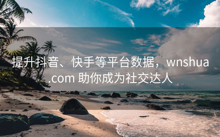 提升抖音、抖音等平台数据，wnshua.com 助你成为社交达人