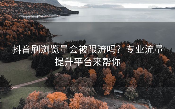 抖音刷浏览量会被限流吗？专业流量提升平台来帮你