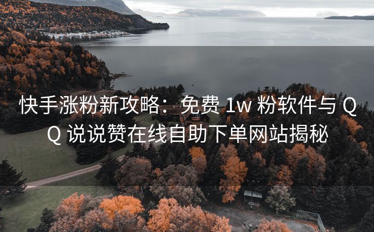 快手涨粉新攻略：免费 1w 粉软件与 QQ 说说赞在线自助下单网站揭秘