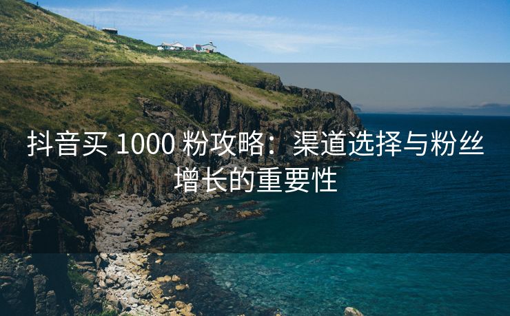 抖音买 1000 粉攻略：渠道选择与关注增长的重要性