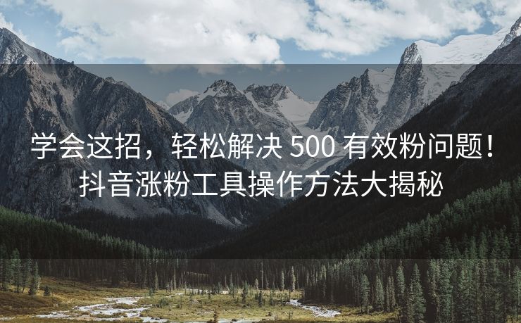 学会这招，轻松解决 500 有效粉问题！抖音涨粉工具操作方法大揭秘