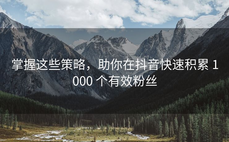 掌握这些策略，助你在抖音快速积累 1000 个有效关注