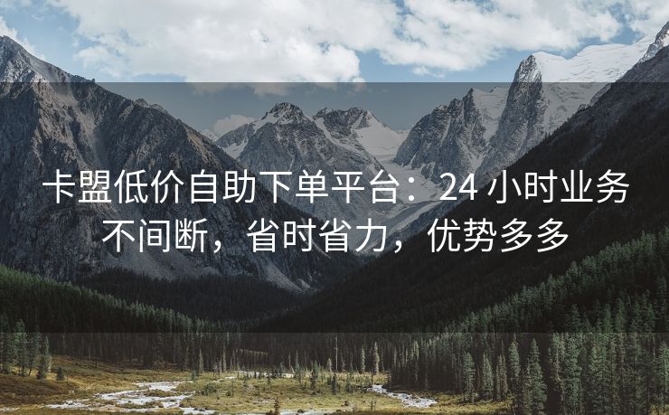 卡盟低价自助下单平台：24 小时业务不间断，省时省力，优势多多