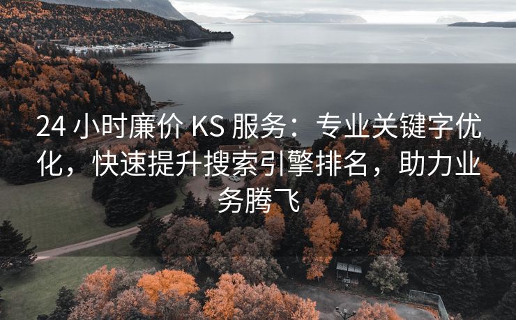 24 小时廉价 KS 服务：专业关键字优化，快速提升搜索引擎排名，助力业务腾飞