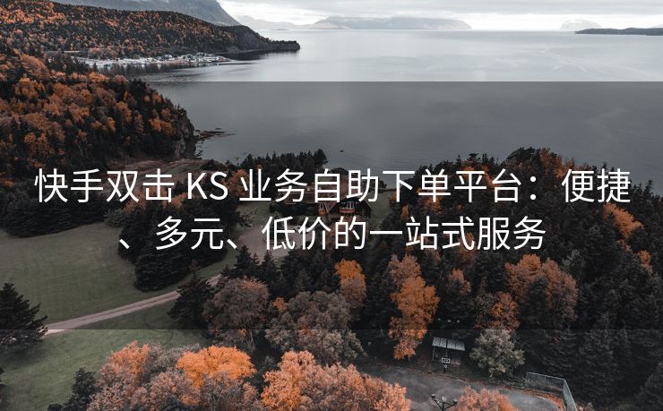 抖音双击 KS 业务自助下单平台：便捷、多元、便宜的一站式服务