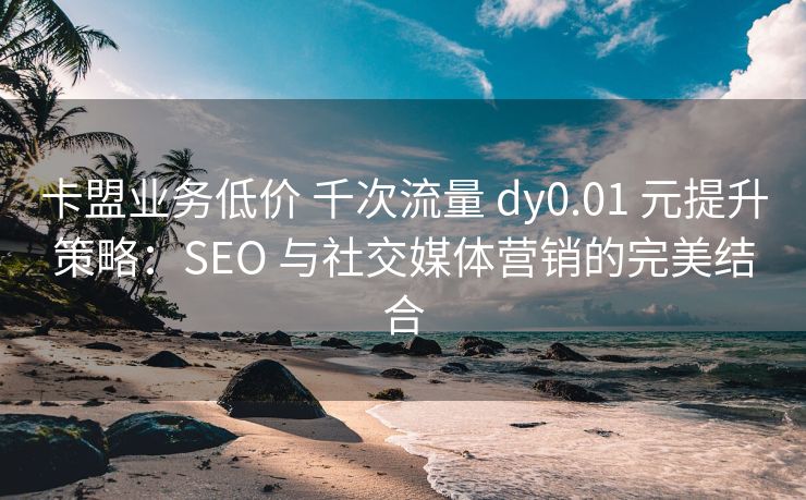 卡盟业务便宜 千次流量 ks0.01 元提升策略：SEO 与社交媒体营销的完美结合