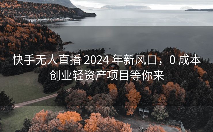 抖音无人直播 2024 年新风口，0 成本创业轻资产项目等你来