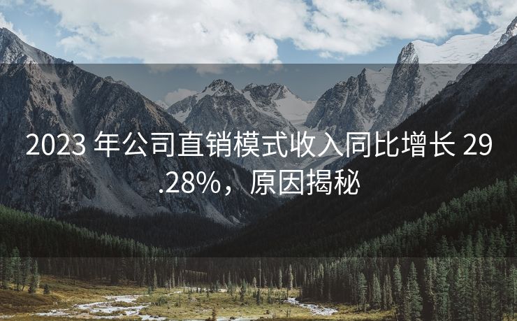 2023 年公司直销模式收入同比增长 29.28%，原因揭秘