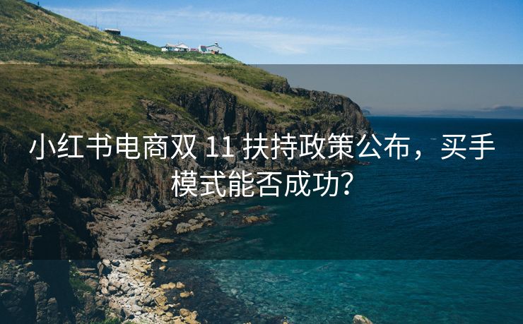 小红书电商双 11 扶持政策公布，买手模式能否成功？