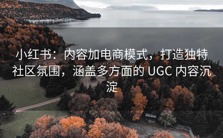 小红书：内容加电商模式，打造独特社区氛围，涵盖多方面的 UGC 内容沉淀