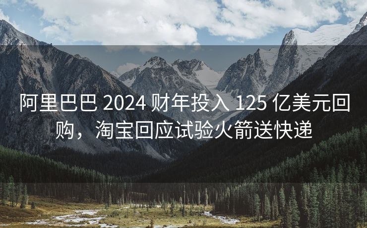 阿里巴巴 2024 财年投入 125 亿美元回购，淘宝回应试验火箭送快递