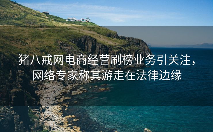 猪八戒网电商经营刷榜业务引关注，网络专家称其游走在法律边缘