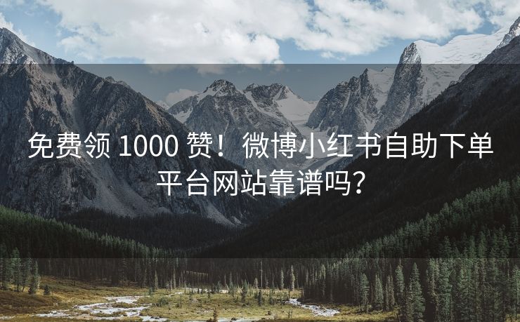 免费领 1000 赞！微博小红书自助下单平台网站靠谱吗？