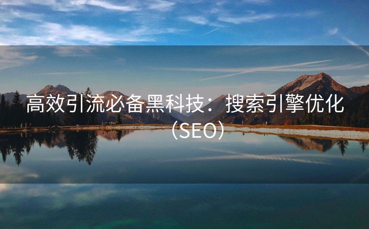 高效引流必备黑科技：搜索引擎优化（SEO）