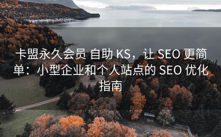 卡盟永久会员 自助 KS，让 SEO 更简单：小型企业和个人站点的 SEO 优化指南