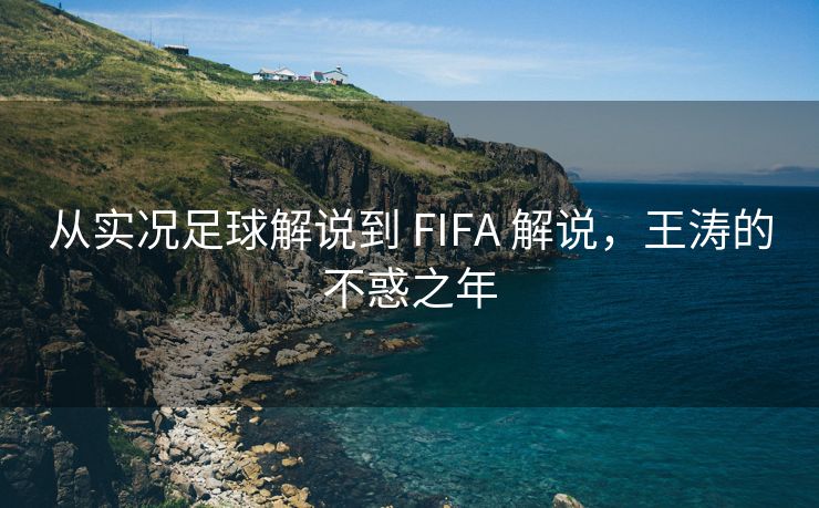 从实况足球解说到 FIFA 解说，王涛的不惑之年