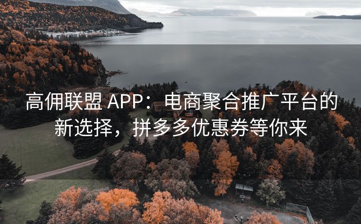 高佣联盟 APP：电商聚合推广平台的新选择，拼多多优惠券等你来