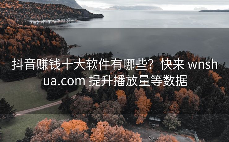 抖音赚钱十大软件有哪些？快来 wnshua.com 提升浏览量等数据