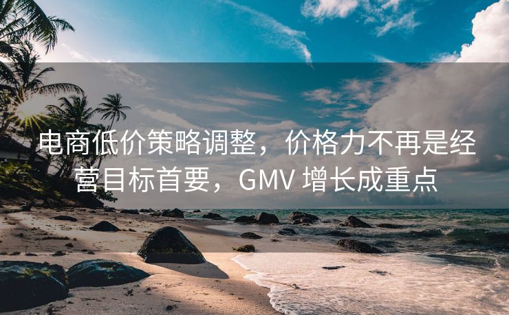 电商低价策略调整，价格力不再是经营目标首要，GMV 增长成重点