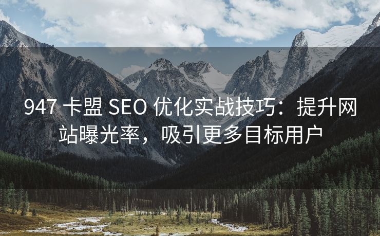 947 卡盟 SEO 优化实战技巧：提升网站曝光率，吸引更多目标用户