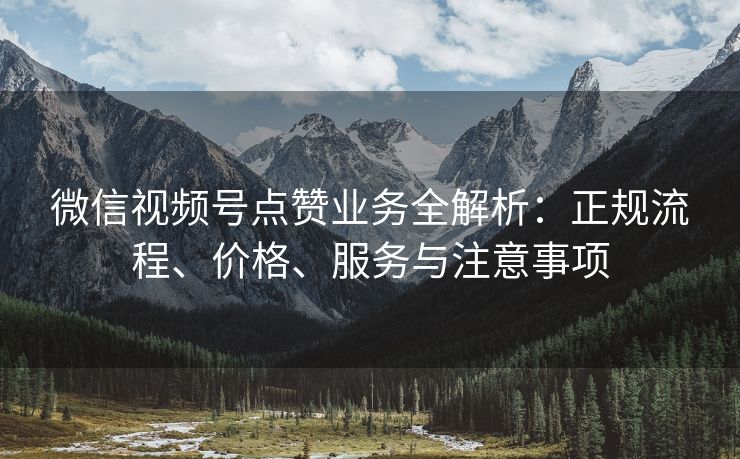 微信视频号点赞业务全解析：正规流程、价格、服务与注意事项