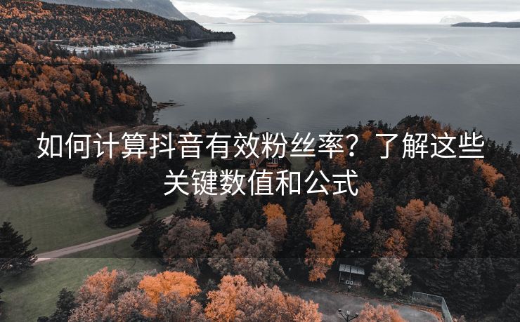 如何计算抖音有效关注率？了解这些关键数值和公式