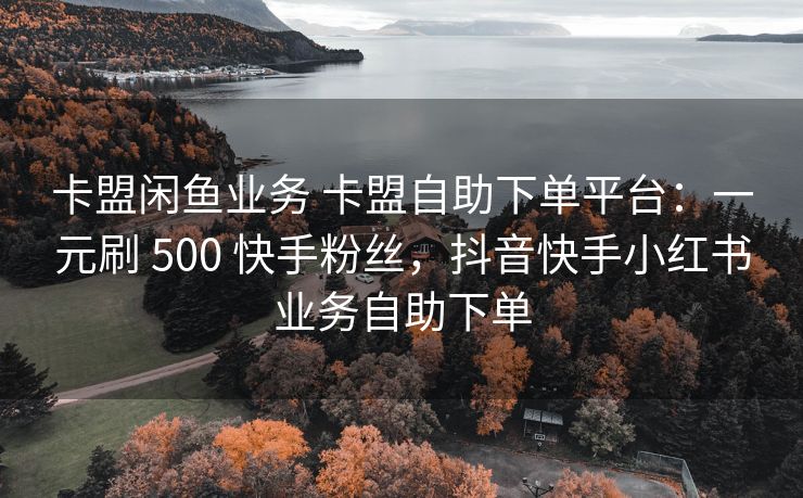 卡盟闲鱼业务 卡盟自助下单平台：一元刷 500 快手粉丝，抖音快手小红书业务自助下单