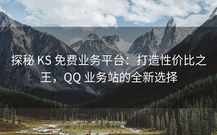 探秘 KS 免费业务平台：打造性价比之王，扣扣 业务站的全新选择