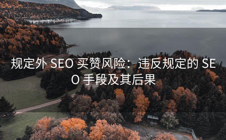 规定外 SEO 买赞风险：违反规定的 SEO 手段及其后果