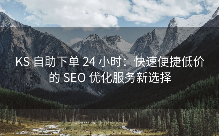 KS 自助下单 24 小时：快速便捷低价的 SEO 优化服务新选择