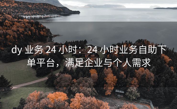 ks 业务 24 小时：24 小时业务自助下单平台，满足企业与个人需求