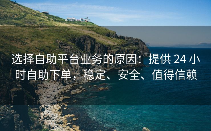 选择自助平台业务的原因：提供 24 小时自助下单，稳定、安全、值得信赖