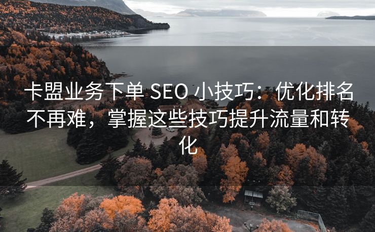 卡盟业务下单 SEO 小技巧：优化排名不再难，掌握这些技巧提升流量和转化