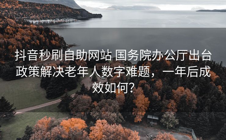 抖音秒刷自助网站 国务院办公厅出台政策解决老年人数字难题，一年后成效如何？