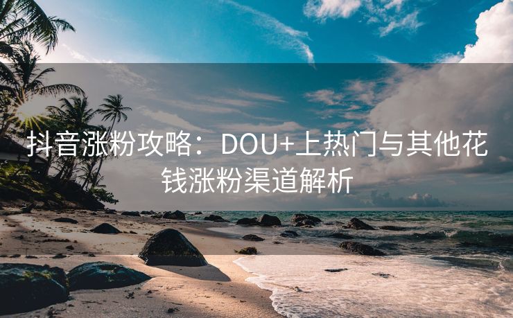 抖音涨粉攻略：DOU+上热门与其他花钱涨粉渠道解析