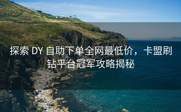 探索 DY 自助下单全网最低价，卡盟刷钻平台冠军攻略揭秘