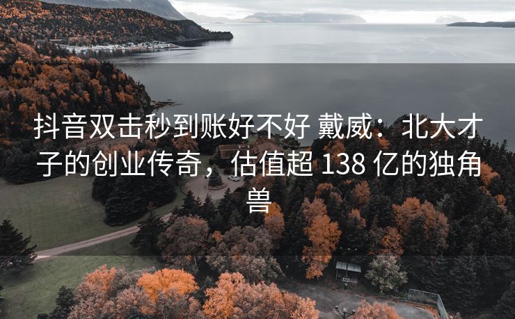 抖音双击秒到账好不好 戴威：北大才子的创业传奇，估值超 138 亿的独角兽